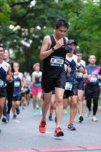 BIB: 5901, 5399
                            <button type="button" onclick="openModal(4683455)" class="btn btn-primary btn-sm float-right btn-popup" data-toggle="modal" data-target=".modal-high-quality">
                        <i class="fas fa-shopping-cart"></i> Add to Cart
                    </button>
                                            <button type="button" onclick="isThisMe(4683455, true)" class="btn btn-success btn-sm float-right btn-popup btn-isme hidden" data-toggle="tooltip" data-placement="bottom" title="นี่คือรูปของคุณใช่ไหม คลิกที่นี่เพื่อเอาเข้าอัลบั้ม">
                        <i class="fas fa-plus"></i> Add to album
                    </button>
                    <button type="button" onclick="isThisMe(4683455, false)" class="btn btn-warning btn-sm float-right btn-popup btn-isnotme hidden">
                        <i class="fas fa-ban"></i> Remove from album
                    </button>