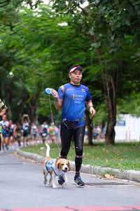 BIB: 
                            <button type="button" onclick="openModal(4699590)" class="btn btn-primary btn-sm float-right btn-popup" data-toggle="modal" data-target=".modal-high-quality">
                        <i class="fas fa-shopping-cart"></i> Add to Cart
                    </button>
                                            <button type="button" onclick="isThisMe(4699590, true)" class="btn btn-success btn-sm float-right btn-popup btn-isme hidden" data-toggle="tooltip" data-placement="bottom" title="นี่คือรูปของคุณใช่ไหม คลิกที่นี่เพื่อเอาเข้าอัลบั้ม">
                        <i class="fas fa-plus"></i> Add to album
                    </button>
                    <button type="button" onclick="isThisMe(4699590, false)" class="btn btn-warning btn-sm float-right btn-popup btn-isnotme hidden">
                        <i class="fas fa-ban"></i> Remove from album
                    </button>