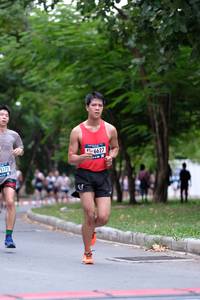 BIB: 6627, 172
                            <button type="button" onclick="openModal(4685027)" class="btn btn-primary btn-sm float-right btn-popup" data-toggle="modal" data-target=".modal-high-quality">
                        <i class="fas fa-shopping-cart"></i> Add to Cart
                    </button>
                                            <button type="button" onclick="isThisMe(4685027, true)" class="btn btn-success btn-sm float-right btn-popup btn-isme hidden" data-toggle="tooltip" data-placement="bottom" title="นี่คือรูปของคุณใช่ไหม คลิกที่นี่เพื่อเอาเข้าอัลบั้ม">
                        <i class="fas fa-plus"></i> Add to album
                    </button>
                    <button type="button" onclick="isThisMe(4685027, false)" class="btn btn-warning btn-sm float-right btn-popup btn-isnotme hidden">
                        <i class="fas fa-ban"></i> Remove from album
                    </button>