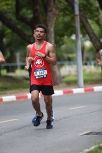 BIB: 8601
                            <button type="button" onclick="openModal(4684147)" class="btn btn-primary btn-sm float-right btn-popup" data-toggle="modal" data-target=".modal-high-quality">
                        <i class="fas fa-shopping-cart"></i> Add to Cart
                    </button>
                                            <button type="button" onclick="isThisMe(4684147, true)" class="btn btn-success btn-sm float-right btn-popup btn-isme hidden" data-toggle="tooltip" data-placement="bottom" title="นี่คือรูปของคุณใช่ไหม คลิกที่นี่เพื่อเอาเข้าอัลบั้ม">
                        <i class="fas fa-plus"></i> Add to album
                    </button>
                    <button type="button" onclick="isThisMe(4684147, false)" class="btn btn-warning btn-sm float-right btn-popup btn-isnotme hidden">
                        <i class="fas fa-ban"></i> Remove from album
                    </button>