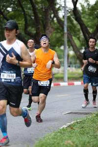 BIB: 6242, 854, 7946, 5448
                            <button type="button" onclick="openModal(4724499)" class="btn btn-primary btn-sm float-right btn-popup" data-toggle="modal" data-target=".modal-high-quality">
                        <i class="fas fa-shopping-cart"></i> Add to Cart
                    </button>
                                            <button type="button" onclick="isThisMe(4724499, true)" class="btn btn-success btn-sm float-right btn-popup btn-isme hidden" data-toggle="tooltip" data-placement="bottom" title="นี่คือรูปของคุณใช่ไหม คลิกที่นี่เพื่อเอาเข้าอัลบั้ม">
                        <i class="fas fa-plus"></i> Add to album
                    </button>
                    <button type="button" onclick="isThisMe(4724499, false)" class="btn btn-warning btn-sm float-right btn-popup btn-isnotme hidden">
                        <i class="fas fa-ban"></i> Remove from album
                    </button>