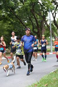 BIB: 7305
                            <button type="button" onclick="openModal(4725416)" class="btn btn-primary btn-sm float-right btn-popup" data-toggle="modal" data-target=".modal-high-quality">
                        <i class="fas fa-shopping-cart"></i> Add to Cart
                    </button>
                                            <button type="button" onclick="isThisMe(4725416, true)" class="btn btn-success btn-sm float-right btn-popup btn-isme hidden" data-toggle="tooltip" data-placement="bottom" title="นี่คือรูปของคุณใช่ไหม คลิกที่นี่เพื่อเอาเข้าอัลบั้ม">
                        <i class="fas fa-plus"></i> Add to album
                    </button>
                    <button type="button" onclick="isThisMe(4725416, false)" class="btn btn-warning btn-sm float-right btn-popup btn-isnotme hidden">
                        <i class="fas fa-ban"></i> Remove from album
                    </button>