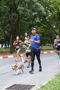 BIB: 
                            <button type="button" onclick="openModal(4725418)" class="btn btn-primary btn-sm float-right btn-popup" data-toggle="modal" data-target=".modal-high-quality">
                        <i class="fas fa-shopping-cart"></i> Add to Cart
                    </button>
                                            <button type="button" onclick="isThisMe(4725418, true)" class="btn btn-success btn-sm float-right btn-popup btn-isme hidden" data-toggle="tooltip" data-placement="bottom" title="นี่คือรูปของคุณใช่ไหม คลิกที่นี่เพื่อเอาเข้าอัลบั้ม">
                        <i class="fas fa-plus"></i> Add to album
                    </button>
                    <button type="button" onclick="isThisMe(4725418, false)" class="btn btn-warning btn-sm float-right btn-popup btn-isnotme hidden">
                        <i class="fas fa-ban"></i> Remove from album
                    </button>