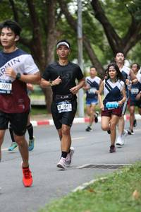 BIB: 5042
                            <button type="button" onclick="openModal(4724549)" class="btn btn-primary btn-sm float-right btn-popup" data-toggle="modal" data-target=".modal-high-quality">
                        <i class="fas fa-shopping-cart"></i> Add to Cart
                    </button>
                                            <button type="button" onclick="isThisMe(4724549, true)" class="btn btn-success btn-sm float-right btn-popup btn-isme hidden" data-toggle="tooltip" data-placement="bottom" title="นี่คือรูปของคุณใช่ไหม คลิกที่นี่เพื่อเอาเข้าอัลบั้ม">
                        <i class="fas fa-plus"></i> Add to album
                    </button>
                    <button type="button" onclick="isThisMe(4724549, false)" class="btn btn-warning btn-sm float-right btn-popup btn-isnotme hidden">
                        <i class="fas fa-ban"></i> Remove from album
                    </button>