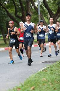 BIB: 799, 7860, 7369, 6748, 7539
                            <button type="button" onclick="openModal(4724889)" class="btn btn-primary btn-sm float-right btn-popup" data-toggle="modal" data-target=".modal-high-quality">
                        <i class="fas fa-shopping-cart"></i> Add to Cart
                    </button>
                                            <button type="button" onclick="isThisMe(4724889, true)" class="btn btn-success btn-sm float-right btn-popup btn-isme hidden" data-toggle="tooltip" data-placement="bottom" title="นี่คือรูปของคุณใช่ไหม คลิกที่นี่เพื่อเอาเข้าอัลบั้ม">
                        <i class="fas fa-plus"></i> Add to album
                    </button>
                    <button type="button" onclick="isThisMe(4724889, false)" class="btn btn-warning btn-sm float-right btn-popup btn-isnotme hidden">
                        <i class="fas fa-ban"></i> Remove from album
                    </button>