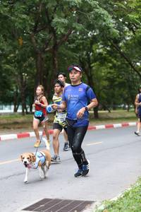 BIB: 7305
                            <button type="button" onclick="openModal(4725419)" class="btn btn-primary btn-sm float-right btn-popup" data-toggle="modal" data-target=".modal-high-quality">
                        <i class="fas fa-shopping-cart"></i> Add to Cart
                    </button>
                                            <button type="button" onclick="isThisMe(4725419, true)" class="btn btn-success btn-sm float-right btn-popup btn-isme hidden" data-toggle="tooltip" data-placement="bottom" title="นี่คือรูปของคุณใช่ไหม คลิกที่นี่เพื่อเอาเข้าอัลบั้ม">
                        <i class="fas fa-plus"></i> Add to album
                    </button>
                    <button type="button" onclick="isThisMe(4725419, false)" class="btn btn-warning btn-sm float-right btn-popup btn-isnotme hidden">
                        <i class="fas fa-ban"></i> Remove from album
                    </button>