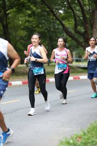 BIB: 1681, 1395
                            <button type="button" onclick="openModal(4724983)" class="btn btn-primary btn-sm float-right btn-popup" data-toggle="modal" data-target=".modal-high-quality">
                        <i class="fas fa-shopping-cart"></i> Add to Cart
                    </button>
                                            <button type="button" onclick="isThisMe(4724983, true)" class="btn btn-success btn-sm float-right btn-popup btn-isme hidden" data-toggle="tooltip" data-placement="bottom" title="นี่คือรูปของคุณใช่ไหม คลิกที่นี่เพื่อเอาเข้าอัลบั้ม">
                        <i class="fas fa-plus"></i> Add to album
                    </button>
                    <button type="button" onclick="isThisMe(4724983, false)" class="btn btn-warning btn-sm float-right btn-popup btn-isnotme hidden">
                        <i class="fas fa-ban"></i> Remove from album
                    </button>