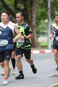 BIB: 5479, 5597
                            <button type="button" onclick="openModal(4727047)" class="btn btn-primary btn-sm float-right btn-popup" data-toggle="modal" data-target=".modal-high-quality">
                        <i class="fas fa-shopping-cart"></i> Add to Cart
                    </button>
                                            <button type="button" onclick="isThisMe(4727047, true)" class="btn btn-success btn-sm float-right btn-popup btn-isme hidden" data-toggle="tooltip" data-placement="bottom" title="นี่คือรูปของคุณใช่ไหม คลิกที่นี่เพื่อเอาเข้าอัลบั้ม">
                        <i class="fas fa-plus"></i> Add to album
                    </button>
                    <button type="button" onclick="isThisMe(4727047, false)" class="btn btn-warning btn-sm float-right btn-popup btn-isnotme hidden">
                        <i class="fas fa-ban"></i> Remove from album
                    </button>