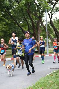 BIB: 
                            <button type="button" onclick="openModal(4725414)" class="btn btn-primary btn-sm float-right btn-popup" data-toggle="modal" data-target=".modal-high-quality">
                        <i class="fas fa-shopping-cart"></i> Add to Cart
                    </button>
                                            <button type="button" onclick="isThisMe(4725414, true)" class="btn btn-success btn-sm float-right btn-popup btn-isme hidden" data-toggle="tooltip" data-placement="bottom" title="นี่คือรูปของคุณใช่ไหม คลิกที่นี่เพื่อเอาเข้าอัลบั้ม">
                        <i class="fas fa-plus"></i> Add to album
                    </button>
                    <button type="button" onclick="isThisMe(4725414, false)" class="btn btn-warning btn-sm float-right btn-popup btn-isnotme hidden">
                        <i class="fas fa-ban"></i> Remove from album
                    </button>