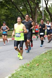 BIB: 
                            <button type="button" onclick="openModal(4724879)" class="btn btn-primary btn-sm float-right btn-popup" data-toggle="modal" data-target=".modal-high-quality">
                        <i class="fas fa-shopping-cart"></i> Add to Cart
                    </button>
                                            <button type="button" onclick="isThisMe(4724879, true)" class="btn btn-success btn-sm float-right btn-popup btn-isme hidden" data-toggle="tooltip" data-placement="bottom" title="นี่คือรูปของคุณใช่ไหม คลิกที่นี่เพื่อเอาเข้าอัลบั้ม">
                        <i class="fas fa-plus"></i> Add to album
                    </button>
                    <button type="button" onclick="isThisMe(4724879, false)" class="btn btn-warning btn-sm float-right btn-popup btn-isnotme hidden">
                        <i class="fas fa-ban"></i> Remove from album
                    </button>