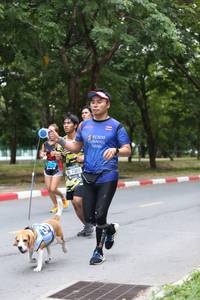 BIB: 730
                            <button type="button" onclick="openModal(4725421)" class="btn btn-primary btn-sm float-right btn-popup" data-toggle="modal" data-target=".modal-high-quality">
                        <i class="fas fa-shopping-cart"></i> Add to Cart
                    </button>
                                            <button type="button" onclick="isThisMe(4725421, true)" class="btn btn-success btn-sm float-right btn-popup btn-isme hidden" data-toggle="tooltip" data-placement="bottom" title="นี่คือรูปของคุณใช่ไหม คลิกที่นี่เพื่อเอาเข้าอัลบั้ม">
                        <i class="fas fa-plus"></i> Add to album
                    </button>
                    <button type="button" onclick="isThisMe(4725421, false)" class="btn btn-warning btn-sm float-right btn-popup btn-isnotme hidden">
                        <i class="fas fa-ban"></i> Remove from album
                    </button>