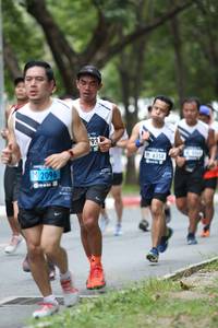 BIB: 6358, 2096
                            <button type="button" onclick="openModal(4724418)" class="btn btn-primary btn-sm float-right btn-popup" data-toggle="modal" data-target=".modal-high-quality">
                        <i class="fas fa-shopping-cart"></i> Add to Cart
                    </button>
                                            <button type="button" onclick="isThisMe(4724418, true)" class="btn btn-success btn-sm float-right btn-popup btn-isme hidden" data-toggle="tooltip" data-placement="bottom" title="นี่คือรูปของคุณใช่ไหม คลิกที่นี่เพื่อเอาเข้าอัลบั้ม">
                        <i class="fas fa-plus"></i> Add to album
                    </button>
                    <button type="button" onclick="isThisMe(4724418, false)" class="btn btn-warning btn-sm float-right btn-popup btn-isnotme hidden">
                        <i class="fas fa-ban"></i> Remove from album
                    </button>