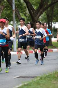 BIB: 5984, 7735, 6075, 1378
                            <button type="button" onclick="openModal(4724720)" class="btn btn-primary btn-sm float-right btn-popup" data-toggle="modal" data-target=".modal-high-quality">
                        <i class="fas fa-shopping-cart"></i> Add to Cart
                    </button>
                                            <button type="button" onclick="isThisMe(4724720, true)" class="btn btn-success btn-sm float-right btn-popup btn-isme hidden" data-toggle="tooltip" data-placement="bottom" title="นี่คือรูปของคุณใช่ไหม คลิกที่นี่เพื่อเอาเข้าอัลบั้ม">
                        <i class="fas fa-plus"></i> Add to album
                    </button>
                    <button type="button" onclick="isThisMe(4724720, false)" class="btn btn-warning btn-sm float-right btn-popup btn-isnotme hidden">
                        <i class="fas fa-ban"></i> Remove from album
                    </button>