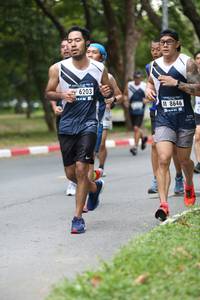 BIB: 6203, 8646
                            <button type="button" onclick="openModal(4724864)" class="btn btn-primary btn-sm float-right btn-popup" data-toggle="modal" data-target=".modal-high-quality">
                        <i class="fas fa-shopping-cart"></i> Add to Cart
                    </button>
                                            <button type="button" onclick="isThisMe(4724864, true)" class="btn btn-success btn-sm float-right btn-popup btn-isme hidden" data-toggle="tooltip" data-placement="bottom" title="นี่คือรูปของคุณใช่ไหม คลิกที่นี่เพื่อเอาเข้าอัลบั้ม">
                        <i class="fas fa-plus"></i> Add to album
                    </button>
                    <button type="button" onclick="isThisMe(4724864, false)" class="btn btn-warning btn-sm float-right btn-popup btn-isnotme hidden">
                        <i class="fas fa-ban"></i> Remove from album
                    </button>