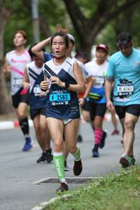 BIB: 6161, 2583
                            <button type="button" onclick="openModal(4724579)" class="btn btn-primary btn-sm float-right btn-popup" data-toggle="modal" data-target=".modal-high-quality">
                        <i class="fas fa-shopping-cart"></i> Add to Cart
                    </button>
                                            <button type="button" onclick="isThisMe(4724579, true)" class="btn btn-success btn-sm float-right btn-popup btn-isme hidden" data-toggle="tooltip" data-placement="bottom" title="นี่คือรูปของคุณใช่ไหม คลิกที่นี่เพื่อเอาเข้าอัลบั้ม">
                        <i class="fas fa-plus"></i> Add to album
                    </button>
                    <button type="button" onclick="isThisMe(4724579, false)" class="btn btn-warning btn-sm float-right btn-popup btn-isnotme hidden">
                        <i class="fas fa-ban"></i> Remove from album
                    </button>