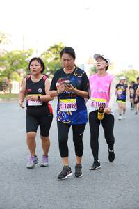 BIB: 2019, 11688, 1282711688
                            <button type="button" onclick="openModal(3667203)" class="btn btn-primary btn-sm float-right btn-popup" data-toggle="modal" data-target=".modal-high-quality">
                        <i class="fas fa-shopping-cart"></i> Add to Cart
                    </button>
                                            <button type="button" onclick="isThisMe(3667203, true)" class="btn btn-success btn-sm float-right btn-popup btn-isme hidden" data-toggle="tooltip" data-placement="bottom" title="นี่คือรูปของคุณใช่ไหม คลิกที่นี่เพื่อเอาเข้าอัลบั้ม">
                        <i class="fas fa-plus"></i> Add to album
                    </button>
                    <button type="button" onclick="isThisMe(3667203, false)" class="btn btn-warning btn-sm float-right btn-popup btn-isnotme hidden">
                        <i class="fas fa-ban"></i> Remove from album
                    </button>