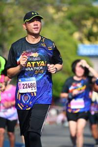 BIB: 2019, 22480
                            <button type="button" onclick="openModal(3558754)" class="btn btn-primary btn-sm float-right btn-popup" data-toggle="modal" data-target=".modal-high-quality">
                        <i class="fas fa-shopping-cart"></i> Add to Cart
                    </button>
                                            <button type="button" onclick="isThisMe(3558754, true)" class="btn btn-success btn-sm float-right btn-popup btn-isme hidden" data-toggle="tooltip" data-placement="bottom" title="นี่คือรูปของคุณใช่ไหม คลิกที่นี่เพื่อเอาเข้าอัลบั้ม">
                        <i class="fas fa-plus"></i> Add to album
                    </button>
                    <button type="button" onclick="isThisMe(3558754, false)" class="btn btn-warning btn-sm float-right btn-popup btn-isnotme hidden">
                        <i class="fas fa-ban"></i> Remove from album
                    </button>