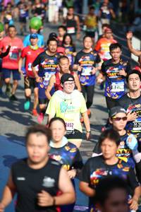 BIB: 652
                            <button type="button" onclick="openModal(3560251)" class="btn btn-primary btn-sm float-right btn-popup" data-toggle="modal" data-target=".modal-high-quality">
                        <i class="fas fa-shopping-cart"></i> Add to Cart
                    </button>
                                            <button type="button" onclick="isThisMe(3560251, true)" class="btn btn-success btn-sm float-right btn-popup btn-isme hidden" data-toggle="tooltip" data-placement="bottom" title="นี่คือรูปของคุณใช่ไหม คลิกที่นี่เพื่อเอาเข้าอัลบั้ม">
                        <i class="fas fa-plus"></i> Add to album
                    </button>
                    <button type="button" onclick="isThisMe(3560251, false)" class="btn btn-warning btn-sm float-right btn-popup btn-isnotme hidden">
                        <i class="fas fa-ban"></i> Remove from album
                    </button>