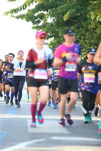 BIB: 
                            <button type="button" onclick="openModal(3567066)" class="btn btn-primary btn-sm float-right btn-popup" data-toggle="modal" data-target=".modal-high-quality">
                        <i class="fas fa-shopping-cart"></i> Add to Cart
                    </button>
                                            <button type="button" onclick="isThisMe(3567066, true)" class="btn btn-success btn-sm float-right btn-popup btn-isme hidden" data-toggle="tooltip" data-placement="bottom" title="นี่คือรูปของคุณใช่ไหม คลิกที่นี่เพื่อเอาเข้าอัลบั้ม">
                        <i class="fas fa-plus"></i> Add to album
                    </button>
                    <button type="button" onclick="isThisMe(3567066, false)" class="btn btn-warning btn-sm float-right btn-popup btn-isnotme hidden">
                        <i class="fas fa-ban"></i> Remove from album
                    </button>