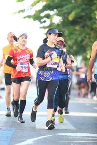 BIB: 
                            <button type="button" onclick="openModal(3566973)" class="btn btn-primary btn-sm float-right btn-popup" data-toggle="modal" data-target=".modal-high-quality">
                        <i class="fas fa-shopping-cart"></i> Add to Cart
                    </button>
                                            <button type="button" onclick="isThisMe(3566973, true)" class="btn btn-success btn-sm float-right btn-popup btn-isme hidden" data-toggle="tooltip" data-placement="bottom" title="นี่คือรูปของคุณใช่ไหม คลิกที่นี่เพื่อเอาเข้าอัลบั้ม">
                        <i class="fas fa-plus"></i> Add to album
                    </button>
                    <button type="button" onclick="isThisMe(3566973, false)" class="btn btn-warning btn-sm float-right btn-popup btn-isnotme hidden">
                        <i class="fas fa-ban"></i> Remove from album
                    </button>