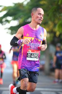 BIB: 40952
                            <button type="button" onclick="openModal(3562772)" class="btn btn-primary btn-sm float-right btn-popup" data-toggle="modal" data-target=".modal-high-quality">
                        <i class="fas fa-shopping-cart"></i> Add to Cart
                    </button>
                                            <button type="button" onclick="isThisMe(3562772, true)" class="btn btn-success btn-sm float-right btn-popup btn-isme hidden" data-toggle="tooltip" data-placement="bottom" title="นี่คือรูปของคุณใช่ไหม คลิกที่นี่เพื่อเอาเข้าอัลบั้ม">
                        <i class="fas fa-plus"></i> Add to album
                    </button>
                    <button type="button" onclick="isThisMe(3562772, false)" class="btn btn-warning btn-sm float-right btn-popup btn-isnotme hidden">
                        <i class="fas fa-ban"></i> Remove from album
                    </button>