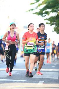 BIB: 12733, 20978
                            <button type="button" onclick="openModal(3567367)" class="btn btn-primary btn-sm float-right btn-popup" data-toggle="modal" data-target=".modal-high-quality">
                        <i class="fas fa-shopping-cart"></i> Add to Cart
                    </button>
                                            <button type="button" onclick="isThisMe(3567367, true)" class="btn btn-success btn-sm float-right btn-popup btn-isme hidden" data-toggle="tooltip" data-placement="bottom" title="นี่คือรูปของคุณใช่ไหม คลิกที่นี่เพื่อเอาเข้าอัลบั้ม">
                        <i class="fas fa-plus"></i> Add to album
                    </button>
                    <button type="button" onclick="isThisMe(3567367, false)" class="btn btn-warning btn-sm float-right btn-popup btn-isnotme hidden">
                        <i class="fas fa-ban"></i> Remove from album
                    </button>