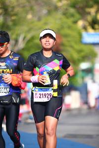 BIB: 0849, 21929
                            <button type="button" onclick="openModal(3559038)" class="btn btn-primary btn-sm float-right btn-popup" data-toggle="modal" data-target=".modal-high-quality">
                        <i class="fas fa-shopping-cart"></i> Add to Cart
                    </button>
                                            <button type="button" onclick="isThisMe(3559038, true)" class="btn btn-success btn-sm float-right btn-popup btn-isme hidden" data-toggle="tooltip" data-placement="bottom" title="นี่คือรูปของคุณใช่ไหม คลิกที่นี่เพื่อเอาเข้าอัลบั้ม">
                        <i class="fas fa-plus"></i> Add to album
                    </button>
                    <button type="button" onclick="isThisMe(3559038, false)" class="btn btn-warning btn-sm float-right btn-popup btn-isnotme hidden">
                        <i class="fas fa-ban"></i> Remove from album
                    </button>