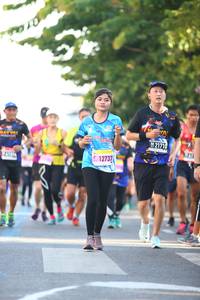 BIB: 2171, 12737
                            <button type="button" onclick="openModal(3567054)" class="btn btn-primary btn-sm float-right btn-popup" data-toggle="modal" data-target=".modal-high-quality">
                        <i class="fas fa-shopping-cart"></i> Add to Cart
                    </button>
                                            <button type="button" onclick="isThisMe(3567054, true)" class="btn btn-success btn-sm float-right btn-popup btn-isme hidden" data-toggle="tooltip" data-placement="bottom" title="นี่คือรูปของคุณใช่ไหม คลิกที่นี่เพื่อเอาเข้าอัลบั้ม">
                        <i class="fas fa-plus"></i> Add to album
                    </button>
                    <button type="button" onclick="isThisMe(3567054, false)" class="btn btn-warning btn-sm float-right btn-popup btn-isnotme hidden">
                        <i class="fas fa-ban"></i> Remove from album
                    </button>