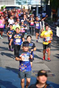 BIB: 
                            <button type="button" onclick="openModal(3560275)" class="btn btn-primary btn-sm float-right btn-popup" data-toggle="modal" data-target=".modal-high-quality">
                        <i class="fas fa-shopping-cart"></i> Add to Cart
                    </button>
                                            <button type="button" onclick="isThisMe(3560275, true)" class="btn btn-success btn-sm float-right btn-popup btn-isme hidden" data-toggle="tooltip" data-placement="bottom" title="นี่คือรูปของคุณใช่ไหม คลิกที่นี่เพื่อเอาเข้าอัลบั้ม">
                        <i class="fas fa-plus"></i> Add to album
                    </button>
                    <button type="button" onclick="isThisMe(3560275, false)" class="btn btn-warning btn-sm float-right btn-popup btn-isnotme hidden">
                        <i class="fas fa-ban"></i> Remove from album
                    </button>