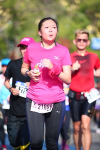 BIB: 
                            <button type="button" onclick="openModal(3559168)" class="btn btn-primary btn-sm float-right btn-popup" data-toggle="modal" data-target=".modal-high-quality">
                        <i class="fas fa-shopping-cart"></i> Add to Cart
                    </button>
                                            <button type="button" onclick="isThisMe(3559168, true)" class="btn btn-success btn-sm float-right btn-popup btn-isme hidden" data-toggle="tooltip" data-placement="bottom" title="นี่คือรูปของคุณใช่ไหม คลิกที่นี่เพื่อเอาเข้าอัลบั้ม">
                        <i class="fas fa-plus"></i> Add to album
                    </button>
                    <button type="button" onclick="isThisMe(3559168, false)" class="btn btn-warning btn-sm float-right btn-popup btn-isnotme hidden">
                        <i class="fas fa-ban"></i> Remove from album
                    </button>