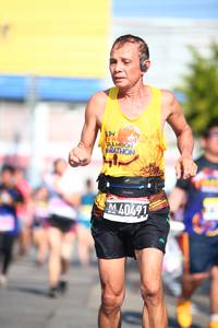 BIB: 
                            <button type="button" onclick="openModal(3557598)" class="btn btn-primary btn-sm float-right btn-popup" data-toggle="modal" data-target=".modal-high-quality">
                        <i class="fas fa-shopping-cart"></i> Add to Cart
                    </button>
                                            <button type="button" onclick="isThisMe(3557598, true)" class="btn btn-success btn-sm float-right btn-popup btn-isme hidden" data-toggle="tooltip" data-placement="bottom" title="นี่คือรูปของคุณใช่ไหม คลิกที่นี่เพื่อเอาเข้าอัลบั้ม">
                        <i class="fas fa-plus"></i> Add to album
                    </button>
                    <button type="button" onclick="isThisMe(3557598, false)" class="btn btn-warning btn-sm float-right btn-popup btn-isnotme hidden">
                        <i class="fas fa-ban"></i> Remove from album
                    </button>