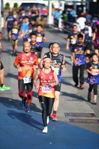 BIB: 
                            <button type="button" onclick="openModal(3560213)" class="btn btn-primary btn-sm float-right btn-popup" data-toggle="modal" data-target=".modal-high-quality">
                        <i class="fas fa-shopping-cart"></i> Add to Cart
                    </button>
                                            <button type="button" onclick="isThisMe(3560213, true)" class="btn btn-success btn-sm float-right btn-popup btn-isme hidden" data-toggle="tooltip" data-placement="bottom" title="นี่คือรูปของคุณใช่ไหม คลิกที่นี่เพื่อเอาเข้าอัลบั้ม">
                        <i class="fas fa-plus"></i> Add to album
                    </button>
                    <button type="button" onclick="isThisMe(3560213, false)" class="btn btn-warning btn-sm float-right btn-popup btn-isnotme hidden">
                        <i class="fas fa-ban"></i> Remove from album
                    </button>