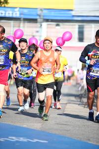 BIB: 2014, 40770, 107
                            <button type="button" onclick="openModal(3557091)" class="btn btn-primary btn-sm float-right btn-popup" data-toggle="modal" data-target=".modal-high-quality">
                        <i class="fas fa-shopping-cart"></i> Add to Cart
                    </button>
                                            <button type="button" onclick="isThisMe(3557091, true)" class="btn btn-success btn-sm float-right btn-popup btn-isme hidden" data-toggle="tooltip" data-placement="bottom" title="นี่คือรูปของคุณใช่ไหม คลิกที่นี่เพื่อเอาเข้าอัลบั้ม">
                        <i class="fas fa-plus"></i> Add to album
                    </button>
                    <button type="button" onclick="isThisMe(3557091, false)" class="btn btn-warning btn-sm float-right btn-popup btn-isnotme hidden">
                        <i class="fas fa-ban"></i> Remove from album
                    </button>