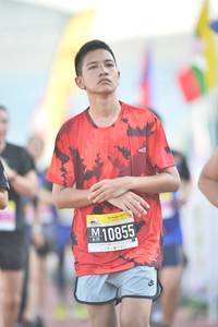 BIB: 10855, 
                            <button type="button" onclick="openModal(3537688)" class="btn btn-primary btn-sm float-right btn-popup" data-toggle="modal" data-target=".modal-high-quality">
                        <i class="fas fa-shopping-cart"></i> Add to Cart
                    </button>
                                            <button type="button" onclick="isThisMe(3537688, true)" class="btn btn-success btn-sm float-right btn-popup btn-isme hidden" data-toggle="tooltip" data-placement="bottom" title="นี่คือรูปของคุณใช่ไหม คลิกที่นี่เพื่อเอาเข้าอัลบั้ม">
                        <i class="fas fa-plus"></i> Add to album
                    </button>
                    <button type="button" onclick="isThisMe(3537688, false)" class="btn btn-warning btn-sm float-right btn-popup btn-isnotme hidden">
                        <i class="fas fa-ban"></i> Remove from album
                    </button>