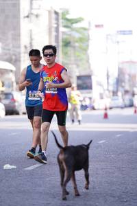 BIB: 
                            <button type="button" onclick="openModal(3598879)" class="btn btn-primary btn-sm float-right btn-popup" data-toggle="modal" data-target=".modal-high-quality">
                        <i class="fas fa-shopping-cart"></i> Add to Cart
                    </button>
                                            <button type="button" onclick="isThisMe(3598879, true)" class="btn btn-success btn-sm float-right btn-popup btn-isme hidden" data-toggle="tooltip" data-placement="bottom" title="นี่คือรูปของคุณใช่ไหม คลิกที่นี่เพื่อเอาเข้าอัลบั้ม">
                        <i class="fas fa-plus"></i> Add to album
                    </button>
                    <button type="button" onclick="isThisMe(3598879, false)" class="btn btn-warning btn-sm float-right btn-popup btn-isnotme hidden">
                        <i class="fas fa-ban"></i> Remove from album
                    </button>