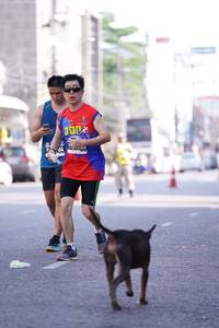 BIB: 
                            <button type="button" onclick="openModal(3598875)" class="btn btn-primary btn-sm float-right btn-popup" data-toggle="modal" data-target=".modal-high-quality">
                        <i class="fas fa-shopping-cart"></i> Add to Cart
                    </button>
                                            <button type="button" onclick="isThisMe(3598875, true)" class="btn btn-success btn-sm float-right btn-popup btn-isme hidden" data-toggle="tooltip" data-placement="bottom" title="นี่คือรูปของคุณใช่ไหม คลิกที่นี่เพื่อเอาเข้าอัลบั้ม">
                        <i class="fas fa-plus"></i> Add to album
                    </button>
                    <button type="button" onclick="isThisMe(3598875, false)" class="btn btn-warning btn-sm float-right btn-popup btn-isnotme hidden">
                        <i class="fas fa-ban"></i> Remove from album
                    </button>