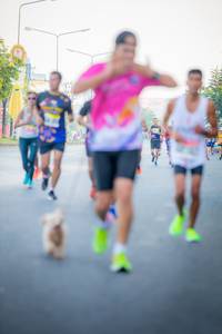 BIB: 
                            <button type="button" onclick="openModal(3789674)" class="btn btn-primary btn-sm float-right btn-popup" data-toggle="modal" data-target=".modal-high-quality">
                        <i class="fas fa-shopping-cart"></i> Add to Cart
                    </button>
                                            <button type="button" onclick="isThisMe(3789674, true)" class="btn btn-success btn-sm float-right btn-popup btn-isme hidden" data-toggle="tooltip" data-placement="bottom" title="นี่คือรูปของคุณใช่ไหม คลิกที่นี่เพื่อเอาเข้าอัลบั้ม">
                        <i class="fas fa-plus"></i> Add to album
                    </button>
                    <button type="button" onclick="isThisMe(3789674, false)" class="btn btn-warning btn-sm float-right btn-popup btn-isnotme hidden">
                        <i class="fas fa-ban"></i> Remove from album
                    </button>