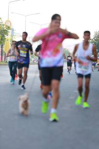 BIB: 
                            <button type="button" onclick="openModal(3574629)" class="btn btn-primary btn-sm float-right btn-popup" data-toggle="modal" data-target=".modal-high-quality">
                        <i class="fas fa-shopping-cart"></i> Add to Cart
                    </button>
                                            <button type="button" onclick="isThisMe(3574629, true)" class="btn btn-success btn-sm float-right btn-popup btn-isme hidden" data-toggle="tooltip" data-placement="bottom" title="นี่คือรูปของคุณใช่ไหม คลิกที่นี่เพื่อเอาเข้าอัลบั้ม">
                        <i class="fas fa-plus"></i> Add to album
                    </button>
                    <button type="button" onclick="isThisMe(3574629, false)" class="btn btn-warning btn-sm float-right btn-popup btn-isnotme hidden">
                        <i class="fas fa-ban"></i> Remove from album
                    </button>