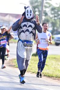 BIB: 21519
                            <button type="button" onclick="openModal(3688789)" class="btn btn-primary btn-sm float-right btn-popup" data-toggle="modal" data-target=".modal-high-quality">
                        <i class="fas fa-shopping-cart"></i> Add to Cart
                    </button>
                                            <button type="button" onclick="isThisMe(3688789, true)" class="btn btn-success btn-sm float-right btn-popup btn-isme hidden" data-toggle="tooltip" data-placement="bottom" title="นี่คือรูปของคุณใช่ไหม คลิกที่นี่เพื่อเอาเข้าอัลบั้ม">
                        <i class="fas fa-plus"></i> Add to album
                    </button>
                    <button type="button" onclick="isThisMe(3688789, false)" class="btn btn-warning btn-sm float-right btn-popup btn-isnotme hidden">
                        <i class="fas fa-ban"></i> Remove from album
                    </button>