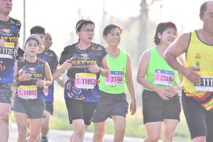 BIB: 11205, 22494, 1185321744, 11852
                            <button type="button" onclick="openModal(3781366)" class="btn btn-primary btn-sm float-right btn-popup" data-toggle="modal" data-target=".modal-high-quality">
                        <i class="fas fa-shopping-cart"></i> Add to Cart
                    </button>
                                            <button type="button" onclick="isThisMe(3781366, true)" class="btn btn-success btn-sm float-right btn-popup btn-isme hidden" data-toggle="tooltip" data-placement="bottom" title="นี่คือรูปของคุณใช่ไหม คลิกที่นี่เพื่อเอาเข้าอัลบั้ม">
                        <i class="fas fa-plus"></i> Add to album
                    </button>
                    <button type="button" onclick="isThisMe(3781366, false)" class="btn btn-warning btn-sm float-right btn-popup btn-isnotme hidden">
                        <i class="fas fa-ban"></i> Remove from album
                    </button>