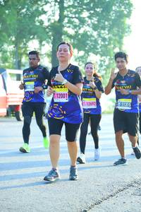 BIB: 12001, 12692, 11315
                            <button type="button" onclick="openModal(3808277)" class="btn btn-primary btn-sm float-right btn-popup" data-toggle="modal" data-target=".modal-high-quality">
                        <i class="fas fa-shopping-cart"></i> Add to Cart
                    </button>
                                            <button type="button" onclick="isThisMe(3808277, true)" class="btn btn-success btn-sm float-right btn-popup btn-isme hidden" data-toggle="tooltip" data-placement="bottom" title="นี่คือรูปของคุณใช่ไหม คลิกที่นี่เพื่อเอาเข้าอัลบั้ม">
                        <i class="fas fa-plus"></i> Add to album
                    </button>
                    <button type="button" onclick="isThisMe(3808277, false)" class="btn btn-warning btn-sm float-right btn-popup btn-isnotme hidden">
                        <i class="fas fa-ban"></i> Remove from album
                    </button>