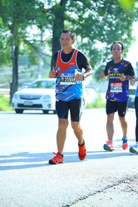 BIB: 21556
                            <button type="button" onclick="openModal(3814083)" class="btn btn-primary btn-sm float-right btn-popup" data-toggle="modal" data-target=".modal-high-quality">
                        <i class="fas fa-shopping-cart"></i> Add to Cart
                    </button>
                                            <button type="button" onclick="isThisMe(3814083, true)" class="btn btn-success btn-sm float-right btn-popup btn-isme hidden" data-toggle="tooltip" data-placement="bottom" title="นี่คือรูปของคุณใช่ไหม คลิกที่นี่เพื่อเอาเข้าอัลบั้ม">
                        <i class="fas fa-plus"></i> Add to album
                    </button>
                    <button type="button" onclick="isThisMe(3814083, false)" class="btn btn-warning btn-sm float-right btn-popup btn-isnotme hidden">
                        <i class="fas fa-ban"></i> Remove from album
                    </button>