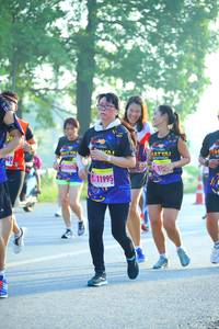 BIB: 1167, 11995
                            <button type="button" onclick="openModal(3807223)" class="btn btn-primary btn-sm float-right btn-popup" data-toggle="modal" data-target=".modal-high-quality">
                        <i class="fas fa-shopping-cart"></i> Add to Cart
                    </button>
                                            <button type="button" onclick="isThisMe(3807223, true)" class="btn btn-success btn-sm float-right btn-popup btn-isme hidden" data-toggle="tooltip" data-placement="bottom" title="นี่คือรูปของคุณใช่ไหม คลิกที่นี่เพื่อเอาเข้าอัลบั้ม">
                        <i class="fas fa-plus"></i> Add to album
                    </button>
                    <button type="button" onclick="isThisMe(3807223, false)" class="btn btn-warning btn-sm float-right btn-popup btn-isnotme hidden">
                        <i class="fas fa-ban"></i> Remove from album
                    </button>