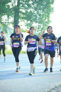 BIB: 12805, 12060
                            <button type="button" onclick="openModal(3807281)" class="btn btn-primary btn-sm float-right btn-popup" data-toggle="modal" data-target=".modal-high-quality">
                        <i class="fas fa-shopping-cart"></i> Add to Cart
                    </button>
                                            <button type="button" onclick="isThisMe(3807281, true)" class="btn btn-success btn-sm float-right btn-popup btn-isme hidden" data-toggle="tooltip" data-placement="bottom" title="นี่คือรูปของคุณใช่ไหม คลิกที่นี่เพื่อเอาเข้าอัลบั้ม">
                        <i class="fas fa-plus"></i> Add to album
                    </button>
                    <button type="button" onclick="isThisMe(3807281, false)" class="btn btn-warning btn-sm float-right btn-popup btn-isnotme hidden">
                        <i class="fas fa-ban"></i> Remove from album
                    </button>