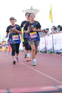 BIB: 12530
                            <button type="button" onclick="openModal(3604619)" class="btn btn-primary btn-sm float-right btn-popup" data-toggle="modal" data-target=".modal-high-quality">
                        <i class="fas fa-shopping-cart"></i> Add to Cart
                    </button>
                                            <button type="button" onclick="isThisMe(3604619, true)" class="btn btn-success btn-sm float-right btn-popup btn-isme hidden" data-toggle="tooltip" data-placement="bottom" title="นี่คือรูปของคุณใช่ไหม คลิกที่นี่เพื่อเอาเข้าอัลบั้ม">
                        <i class="fas fa-plus"></i> Add to album
                    </button>
                    <button type="button" onclick="isThisMe(3604619, false)" class="btn btn-warning btn-sm float-right btn-popup btn-isnotme hidden">
                        <i class="fas fa-ban"></i> Remove from album
                    </button>