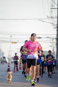 BIB: 
                            <button type="button" onclick="openModal(3755491)" class="btn btn-primary btn-sm float-right btn-popup" data-toggle="modal" data-target=".modal-high-quality">
                        <i class="fas fa-shopping-cart"></i> Add to Cart
                    </button>
                                            <button type="button" onclick="isThisMe(3755491, true)" class="btn btn-success btn-sm float-right btn-popup btn-isme hidden" data-toggle="tooltip" data-placement="bottom" title="นี่คือรูปของคุณใช่ไหม คลิกที่นี่เพื่อเอาเข้าอัลบั้ม">
                        <i class="fas fa-plus"></i> Add to album
                    </button>
                    <button type="button" onclick="isThisMe(3755491, false)" class="btn btn-warning btn-sm float-right btn-popup btn-isnotme hidden">
                        <i class="fas fa-ban"></i> Remove from album
                    </button>