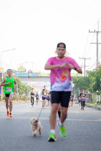 BIB: 
                            <button type="button" onclick="openModal(3724062)" class="btn btn-primary btn-sm float-right btn-popup" data-toggle="modal" data-target=".modal-high-quality">
                        <i class="fas fa-shopping-cart"></i> Add to Cart
                    </button>
                                            <button type="button" onclick="isThisMe(3724062, true)" class="btn btn-success btn-sm float-right btn-popup btn-isme hidden" data-toggle="tooltip" data-placement="bottom" title="นี่คือรูปของคุณใช่ไหม คลิกที่นี่เพื่อเอาเข้าอัลบั้ม">
                        <i class="fas fa-plus"></i> Add to album
                    </button>
                    <button type="button" onclick="isThisMe(3724062, false)" class="btn btn-warning btn-sm float-right btn-popup btn-isnotme hidden">
                        <i class="fas fa-ban"></i> Remove from album
                    </button>