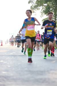 BIB: 
                            <button type="button" onclick="openModal(3763962)" class="btn btn-primary btn-sm float-right btn-popup" data-toggle="modal" data-target=".modal-high-quality">
                        <i class="fas fa-shopping-cart"></i> Add to Cart
                    </button>
                                            <button type="button" onclick="isThisMe(3763962, true)" class="btn btn-success btn-sm float-right btn-popup btn-isme hidden" data-toggle="tooltip" data-placement="bottom" title="นี่คือรูปของคุณใช่ไหม คลิกที่นี่เพื่อเอาเข้าอัลบั้ม">
                        <i class="fas fa-plus"></i> Add to album
                    </button>
                    <button type="button" onclick="isThisMe(3763962, false)" class="btn btn-warning btn-sm float-right btn-popup btn-isnotme hidden">
                        <i class="fas fa-ban"></i> Remove from album
                    </button>