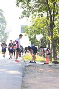 BIB: 
                            <button type="button" onclick="openModal(3769621)" class="btn btn-primary btn-sm float-right btn-popup" data-toggle="modal" data-target=".modal-high-quality">
                        <i class="fas fa-shopping-cart"></i> Add to Cart
                    </button>
                                            <button type="button" onclick="isThisMe(3769621, true)" class="btn btn-success btn-sm float-right btn-popup btn-isme hidden" data-toggle="tooltip" data-placement="bottom" title="นี่คือรูปของคุณใช่ไหม คลิกที่นี่เพื่อเอาเข้าอัลบั้ม">
                        <i class="fas fa-plus"></i> Add to album
                    </button>
                    <button type="button" onclick="isThisMe(3769621, false)" class="btn btn-warning btn-sm float-right btn-popup btn-isnotme hidden">
                        <i class="fas fa-ban"></i> Remove from album
                    </button>