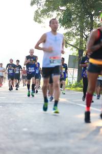 BIB: 
                            <button type="button" onclick="openModal(3763964)" class="btn btn-primary btn-sm float-right btn-popup" data-toggle="modal" data-target=".modal-high-quality">
                        <i class="fas fa-shopping-cart"></i> Add to Cart
                    </button>
                                            <button type="button" onclick="isThisMe(3763964, true)" class="btn btn-success btn-sm float-right btn-popup btn-isme hidden" data-toggle="tooltip" data-placement="bottom" title="นี่คือรูปของคุณใช่ไหม คลิกที่นี่เพื่อเอาเข้าอัลบั้ม">
                        <i class="fas fa-plus"></i> Add to album
                    </button>
                    <button type="button" onclick="isThisMe(3763964, false)" class="btn btn-warning btn-sm float-right btn-popup btn-isnotme hidden">
                        <i class="fas fa-ban"></i> Remove from album
                    </button>